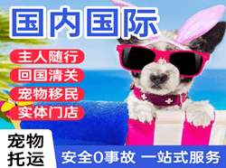 白塔航空空运国际宠物托运 【国